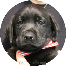 レッドCK(NORBLE 女の子)